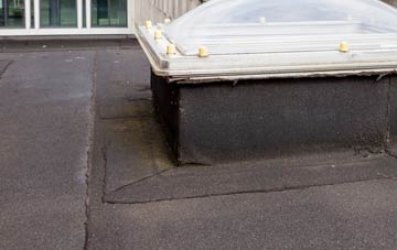 disadvantages of Paddockhaugh flat roofs