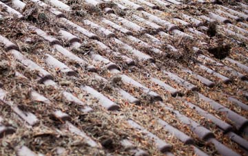 Paddockhaugh roof cleaning companies