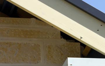 soffit repair Paddockhaugh